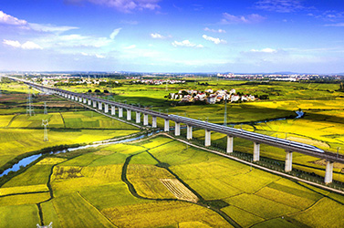 滬鐵路電話(huà)訂票試運營(yíng) 成功后憑訂單號就近取票